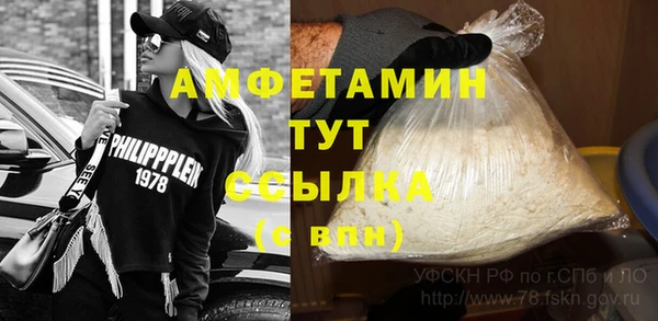 экстази Ельня