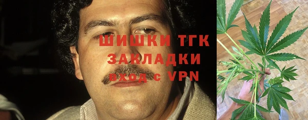 экстази Ельня