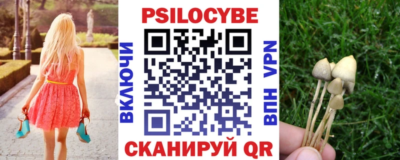 Галлюциногенные грибы мицелий  Купить где  Остров 